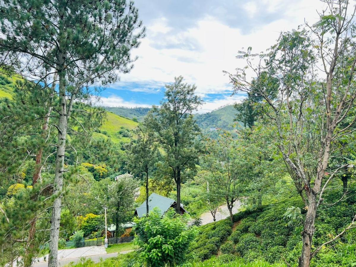 Ella Tea Heaven Villa Dış mekan fotoğraf